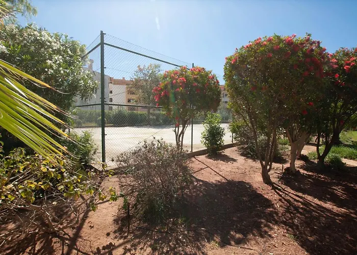 Ondas Verdes By Ocvillas * 알부페이라