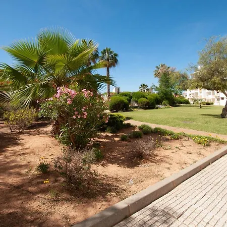 Ondas Verdes By Ocvillas